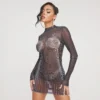 EGO High Neck Long Sleeve Bodying Detail Mini Bodycon Dress In Black Mesh